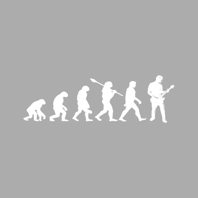 evolution guitariste