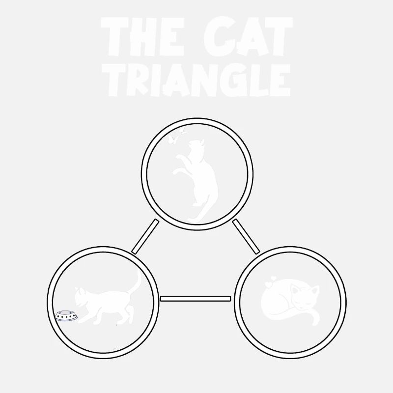 Cats Triangle Funny Cat Owner Gift