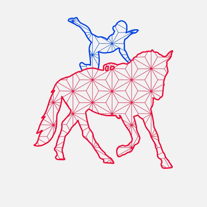 voltige cavalier sauteur