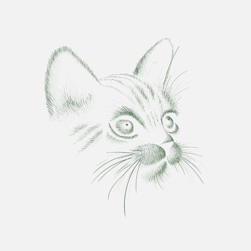 Chat dessiné à la main