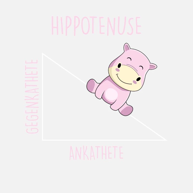 Hippotenuse Professeur de mathématiques