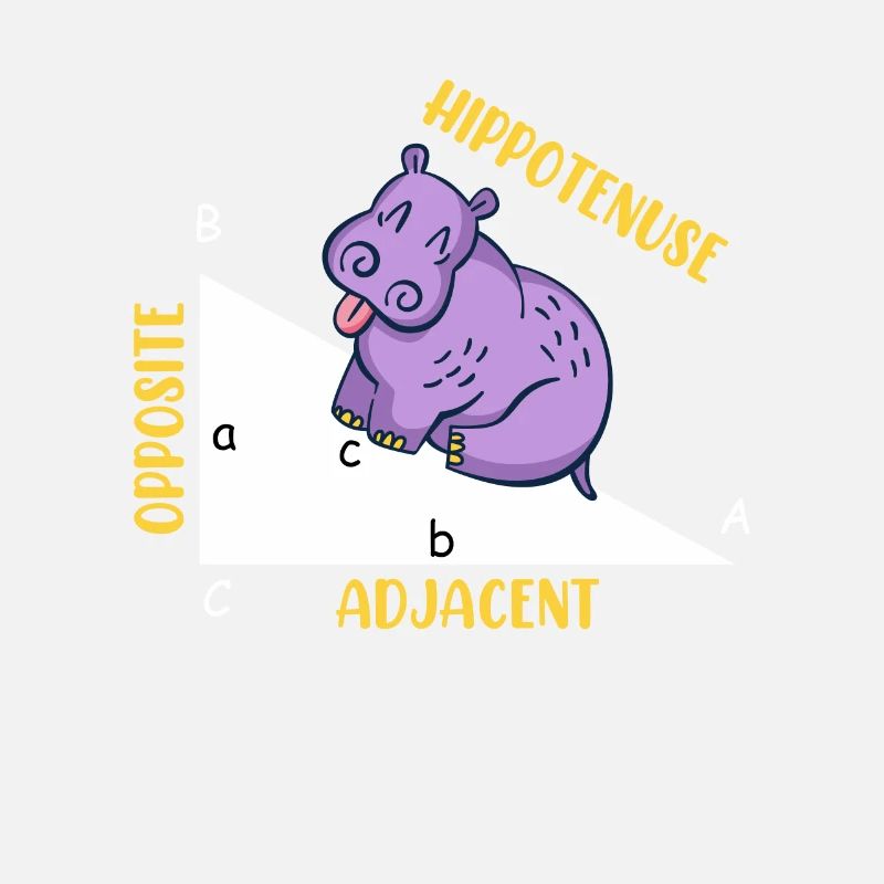Hippotenuse Math