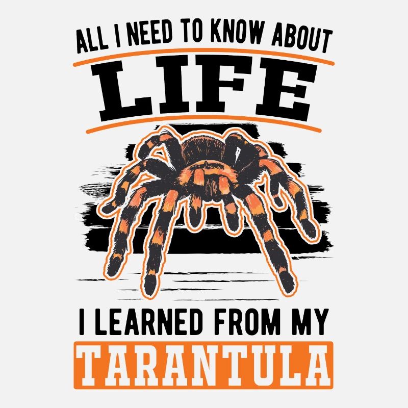Tarantula Spider Tarantula
