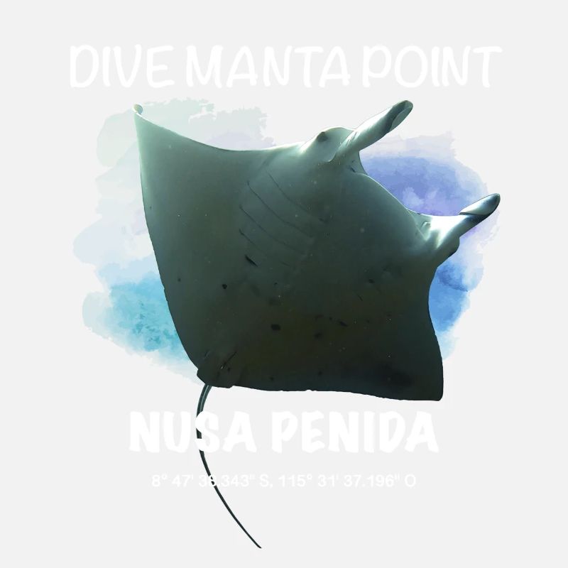 Gift Idea Dive Manta Point Nusa Penida