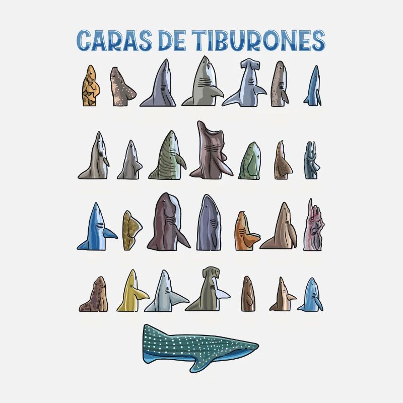 Types de requins Identification des visages