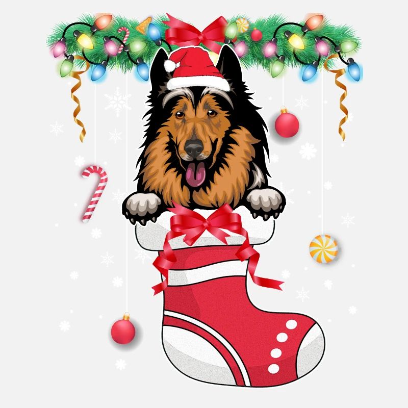 Drôle de Noël - Mignon chien collie en bas de Noël