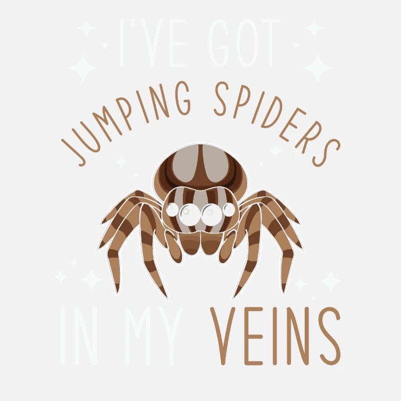 Dicton Jumping Spider