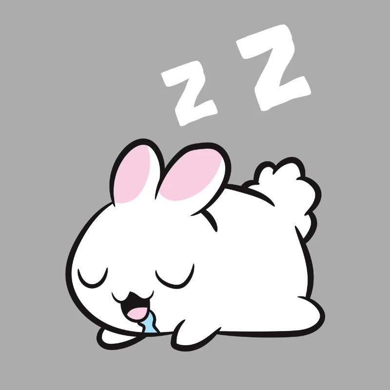 Sleeping Rabbit Sleeping Pajama Rabbit