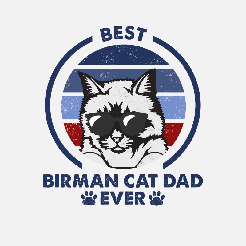Papa chat - Birman Katze