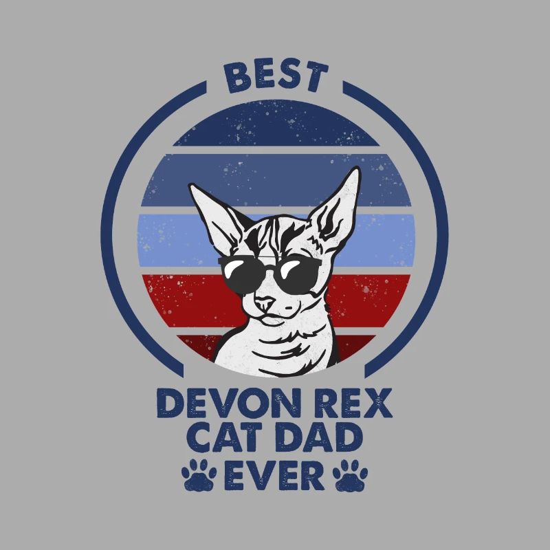 Papa chat - Devon Rex Chat