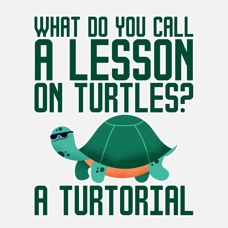 What Do You Call A Lesson On Turtles, A Turtorial2