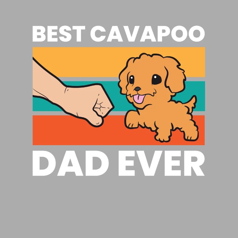 Cavapoo Hund Papa Cavoodle Bester Cavapoo Papa