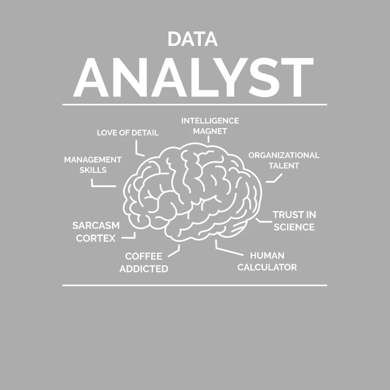 Data Analyst