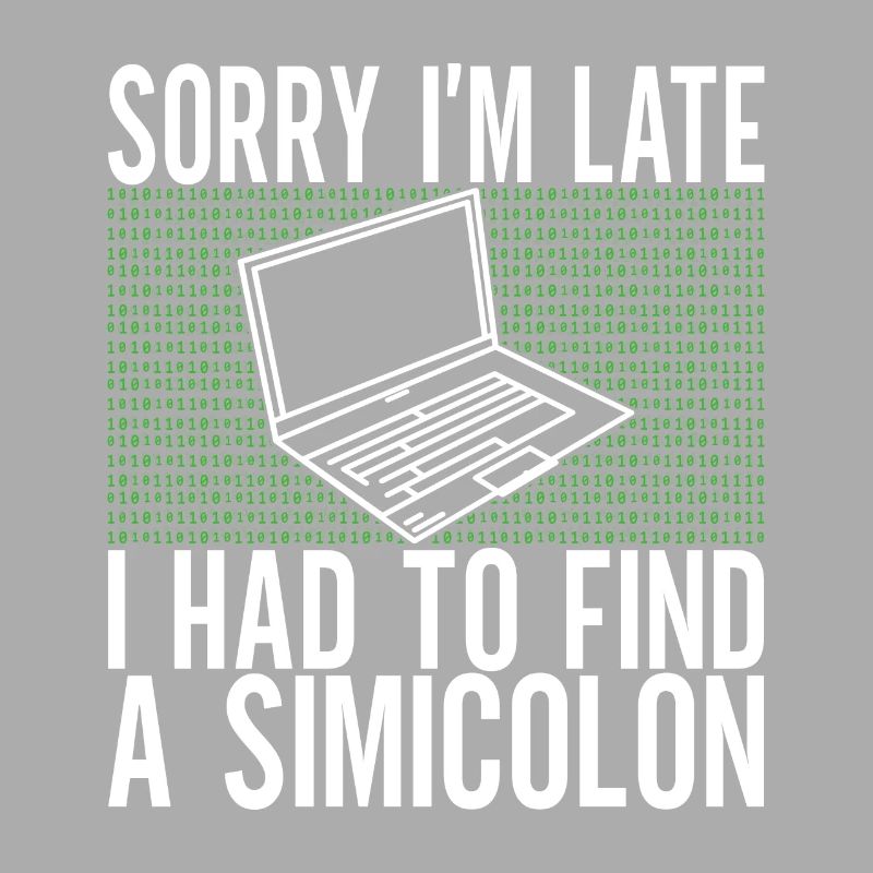 Programmer Computer Scientist