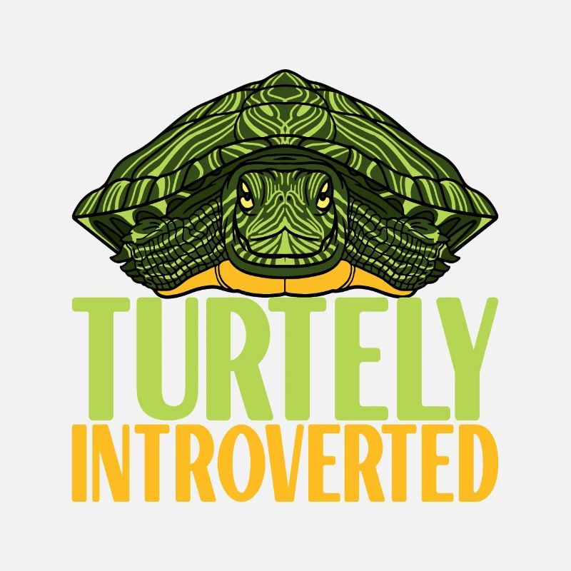 Turtle Turtle Aquatic turtle