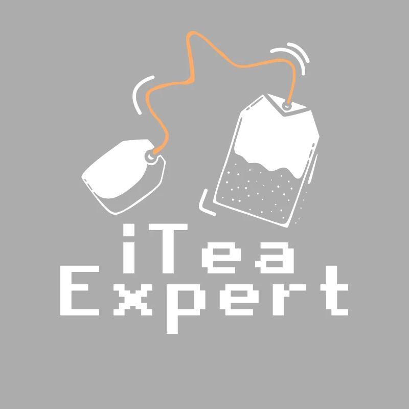 Itea-Experte Computer Software Programmierer