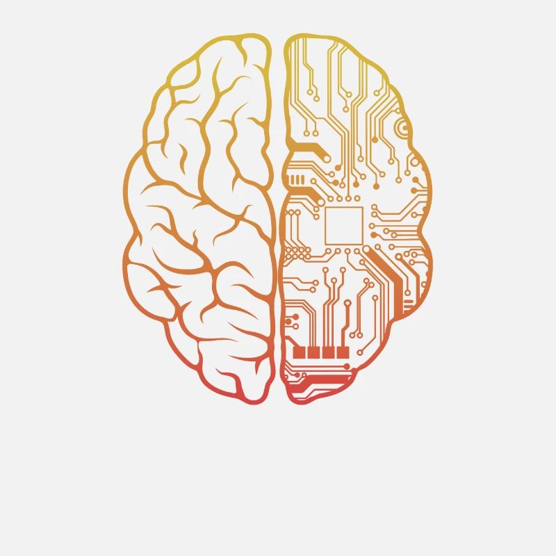Programmeur HTML - Développeur Programmation Brain Cool