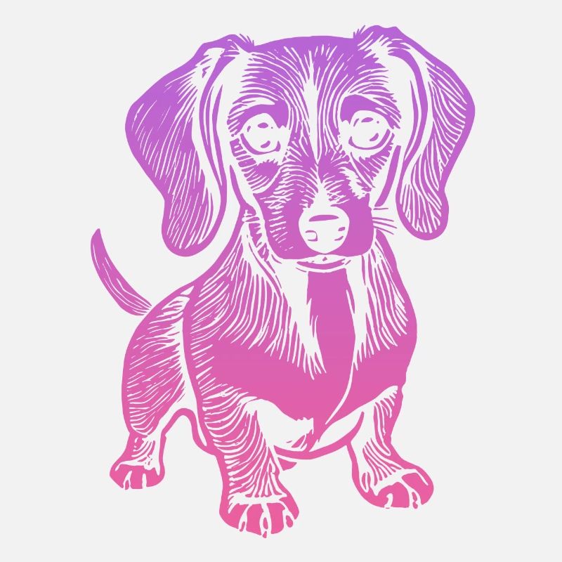 Teckel, mon fidèle compagnon - chiot