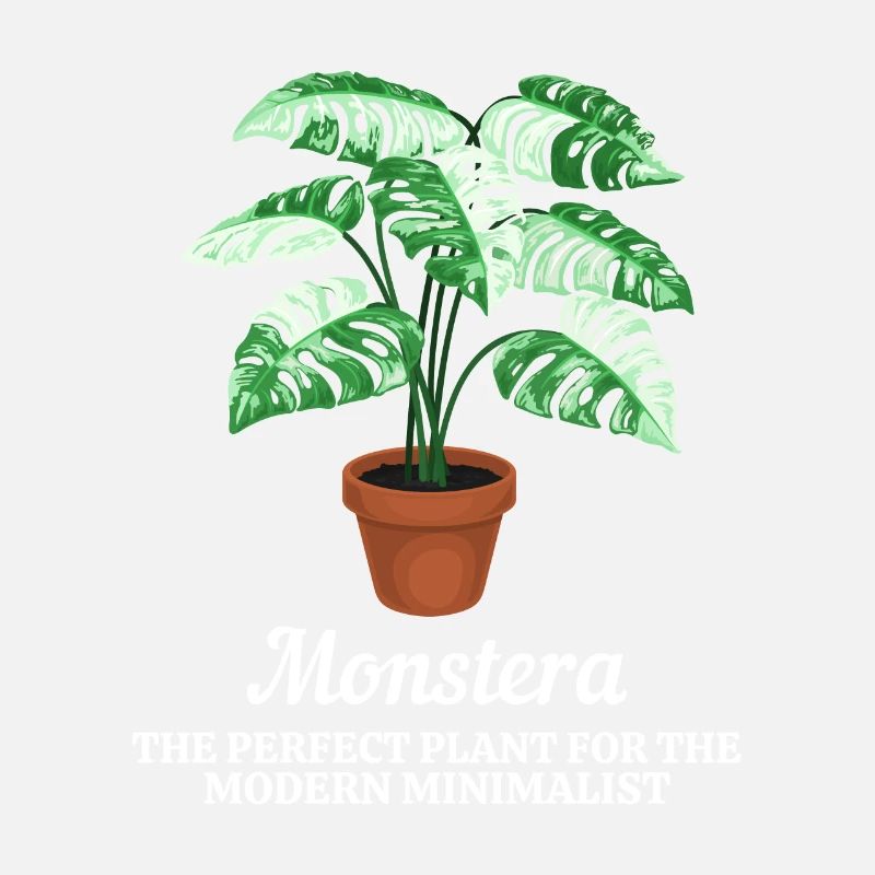 Monstera Modern Minimalist