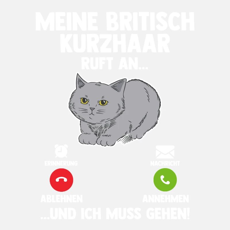 Britisch Kurzhaar Katze