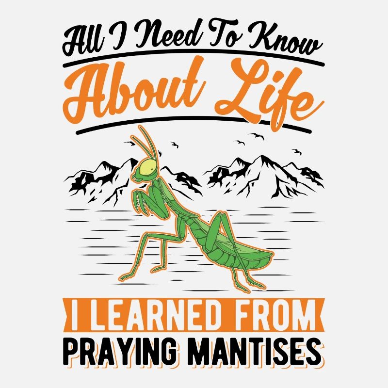 Gottesanbeterin Mantis Fangschrecke