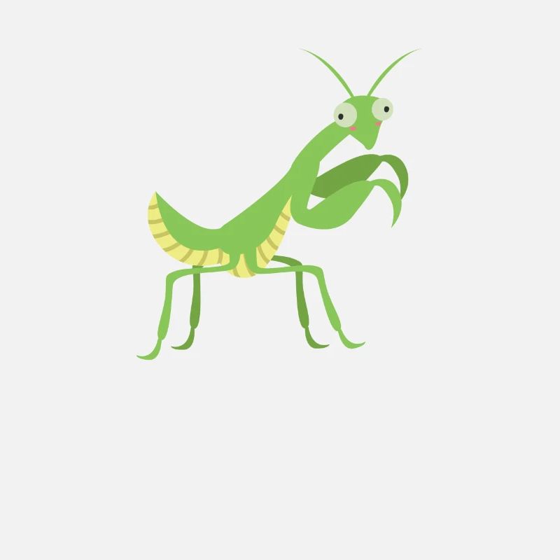 Praying Mantis Insect Pet Lovers