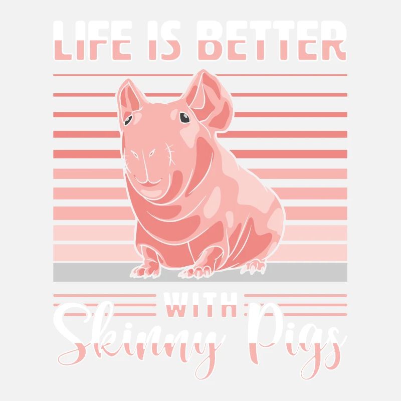 Cochon d’Inde sans poils Cochon maigre