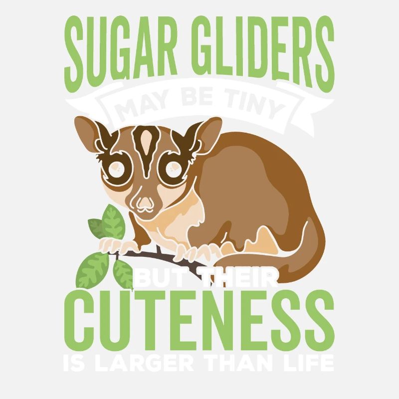Sugar Gliders Cute Sugar Glider Owner