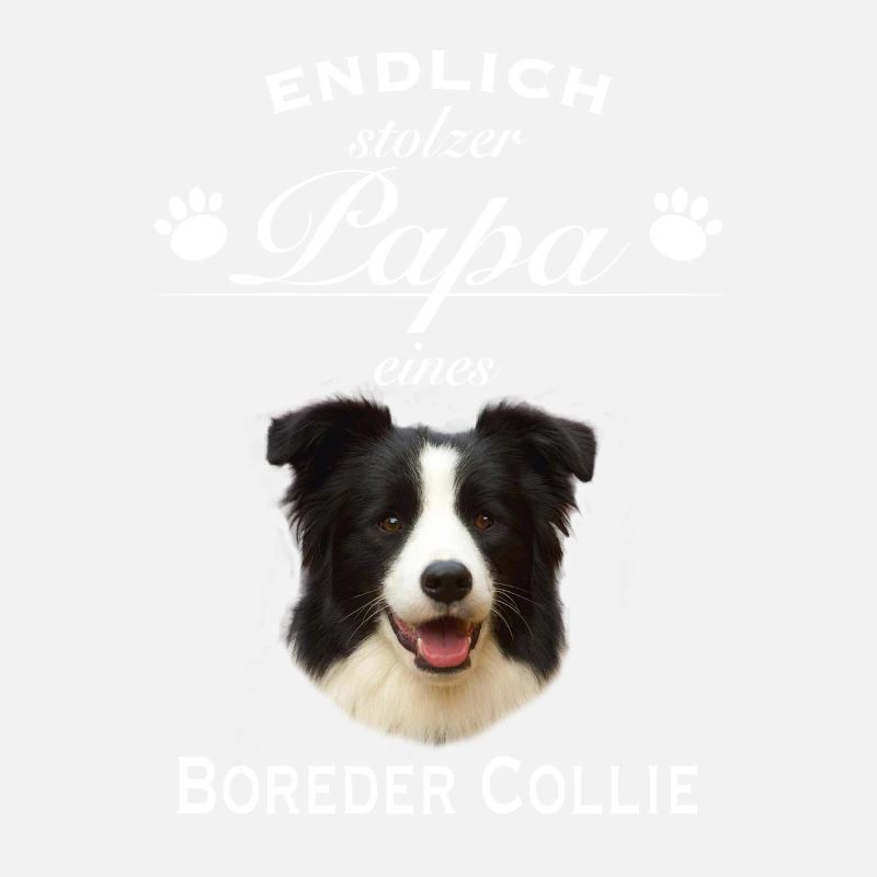 Endlich stolzer Papa - Border Collie