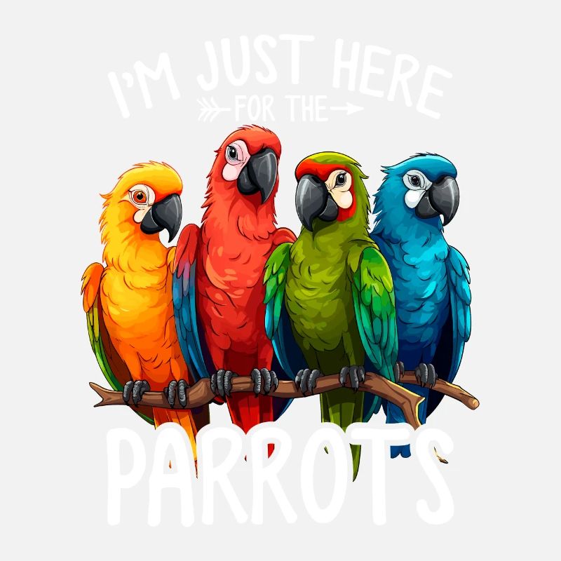 Perroquet Amant Quaker Perroquet Moine Perruche Oiseaux
