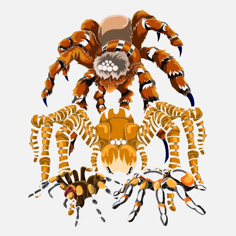 Tarentule Tarentule Arachnide Cadeau Araignée