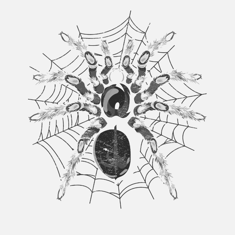 Tarentule Arachnide Tarentule Cadeau Araignée