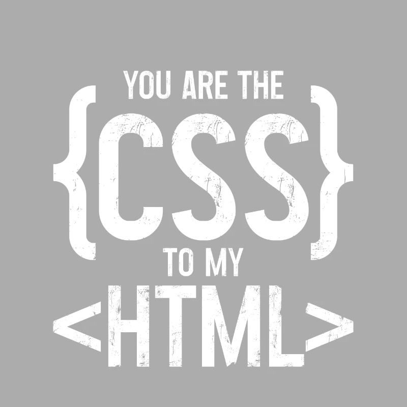 Vous êtes le CSS de mon HTML 3