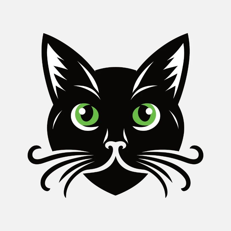 Chat noir qui vous observe, qui s’ébroue