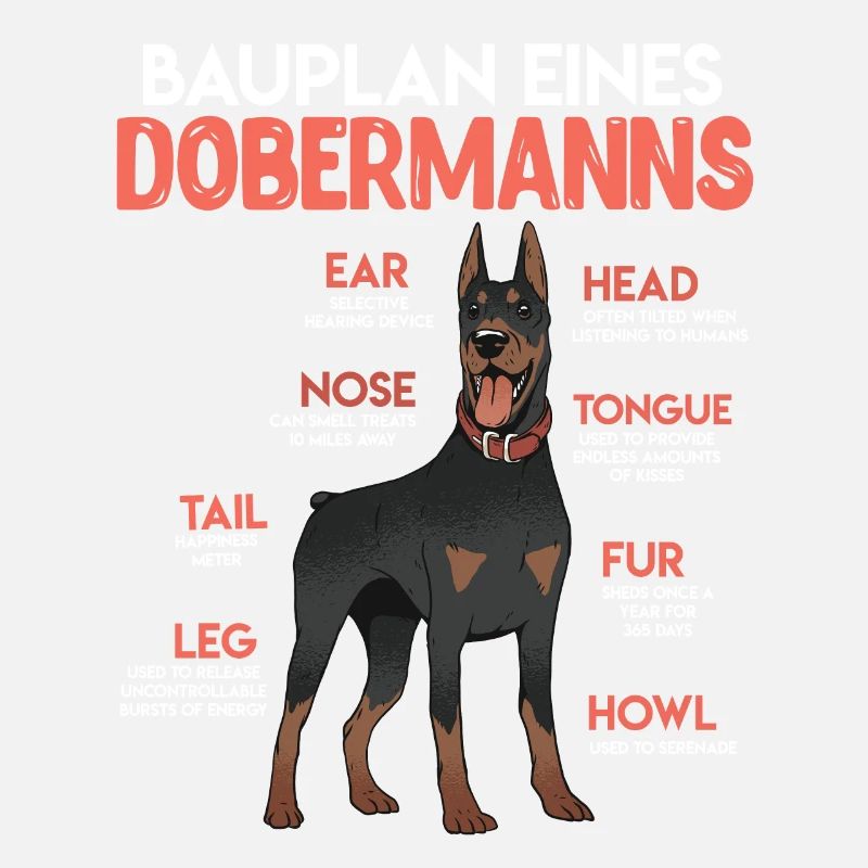 Doberman Besitzer BAUPLAN EINES DOBERMANNS Lustig