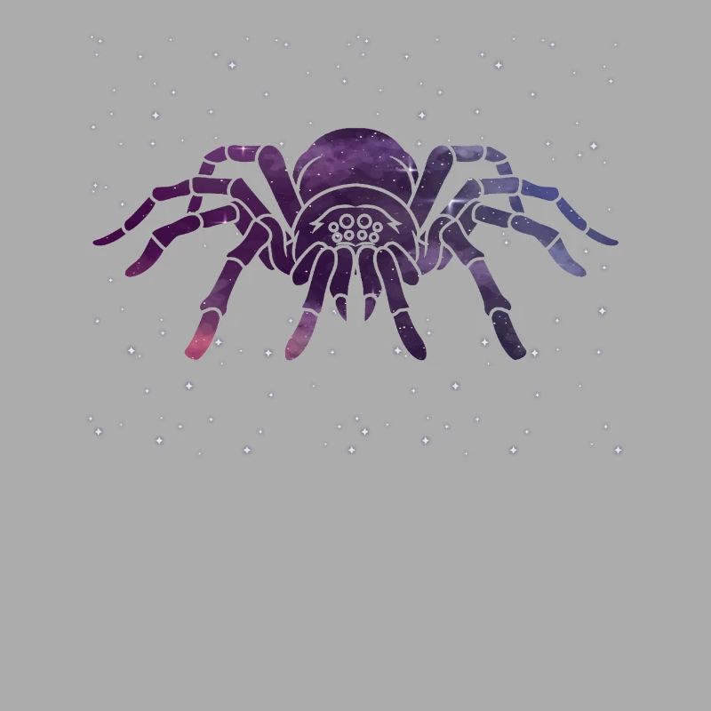 Celestial Spider Star Pattern