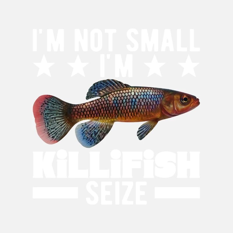 Killifish Quarium Fish
