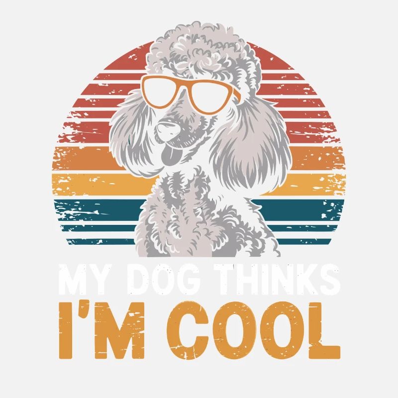 Caniche mon chien pense que je suis cool