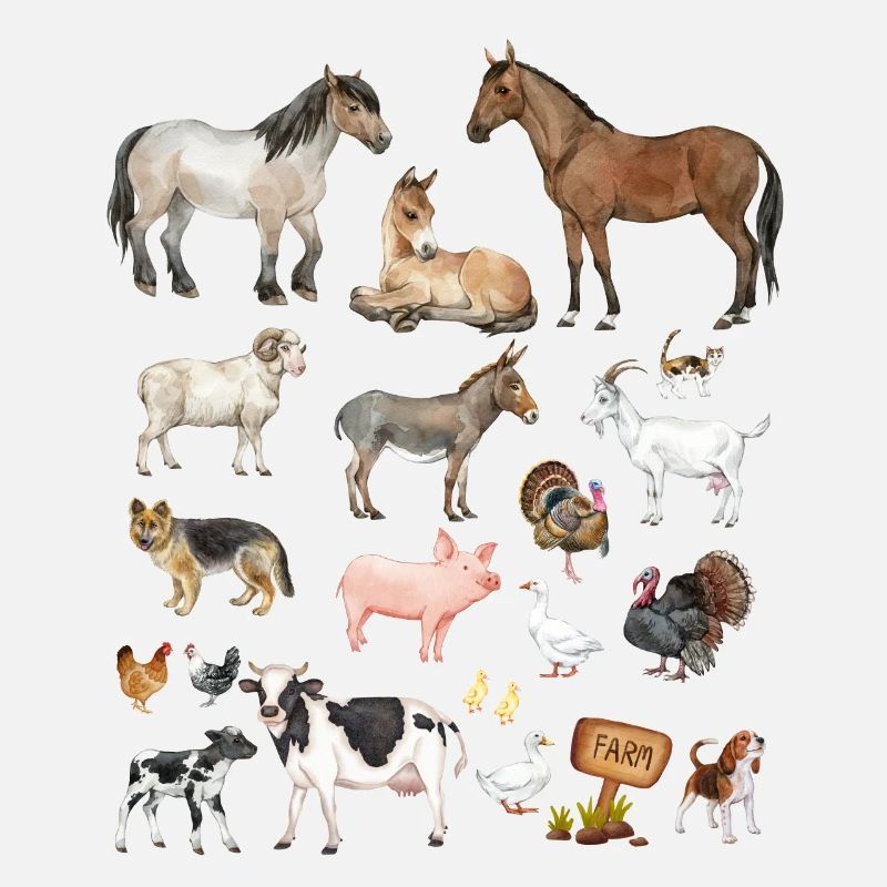 Animaux de la ferme