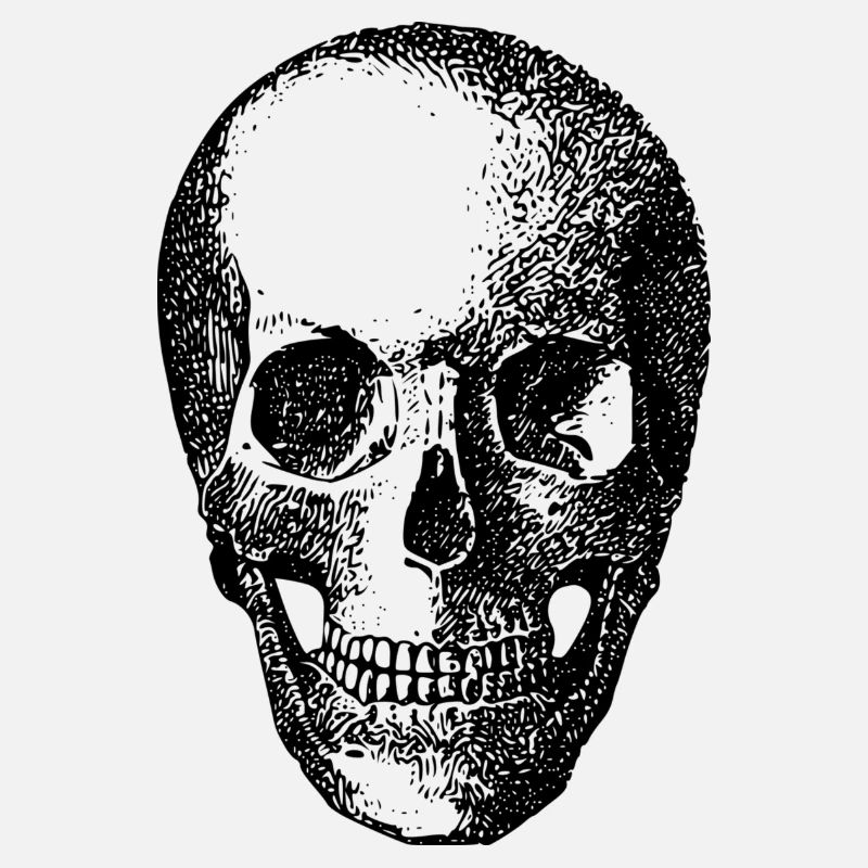 skull