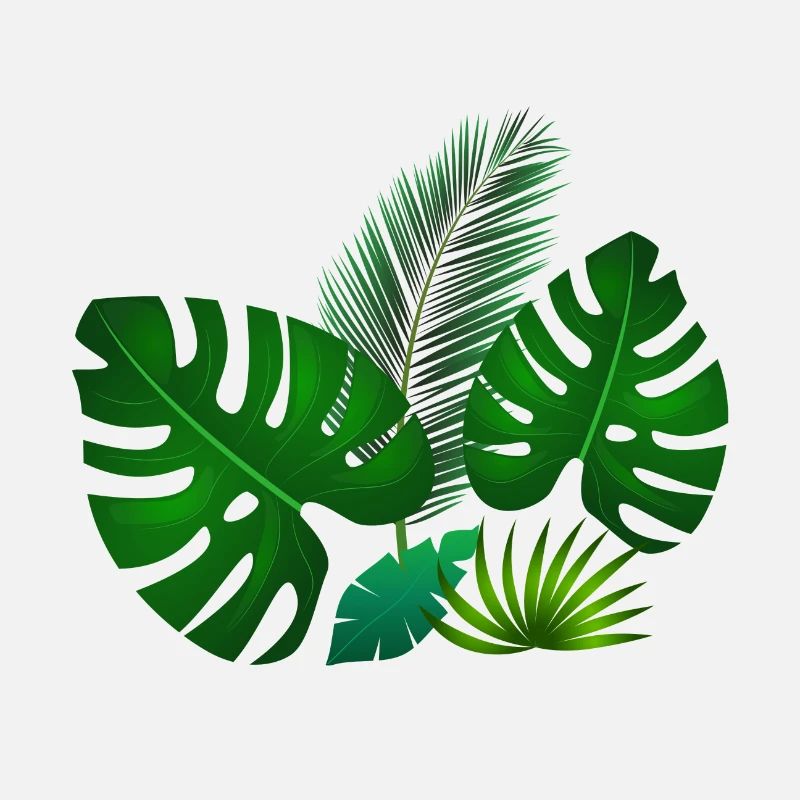 Feuilles tropicales vertes