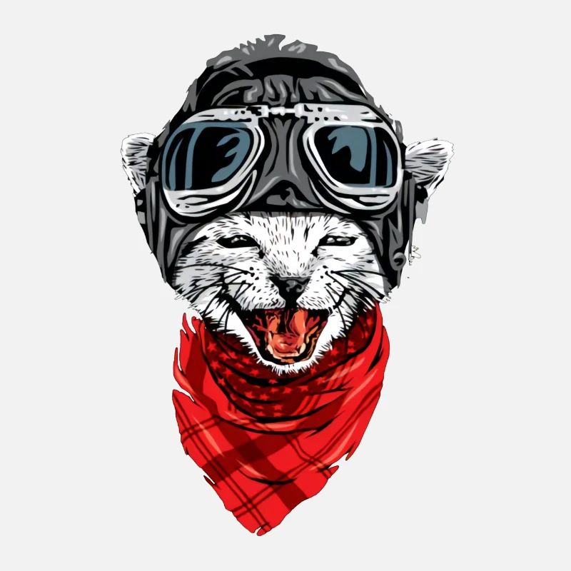 Small Airplane Pilot Cat