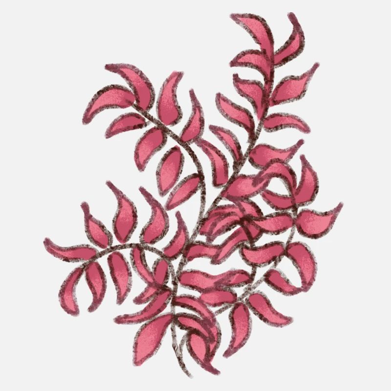 Plante rose