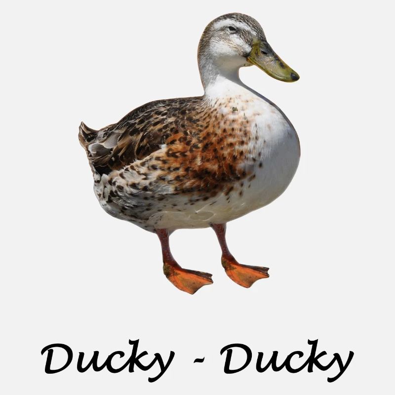 Ducky