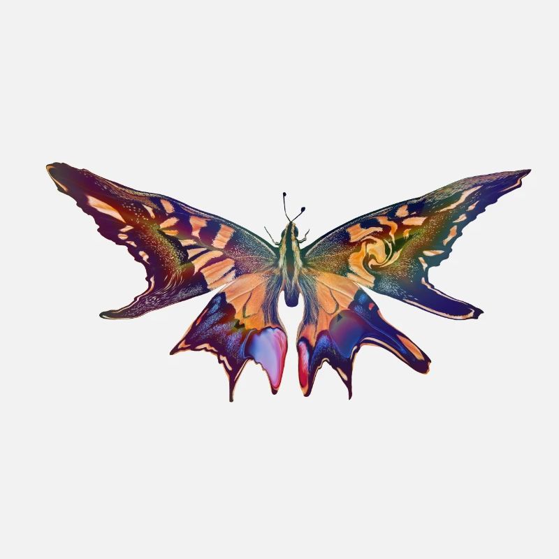 Butterfly colorful