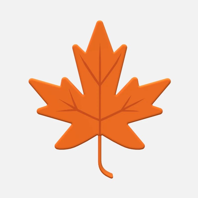 Autumn Leaf Canada Natural Tree Garden Ahronblatt