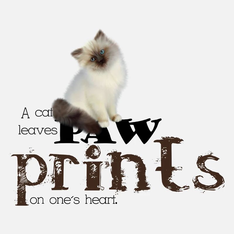 Brown / Blanc Birman Cat