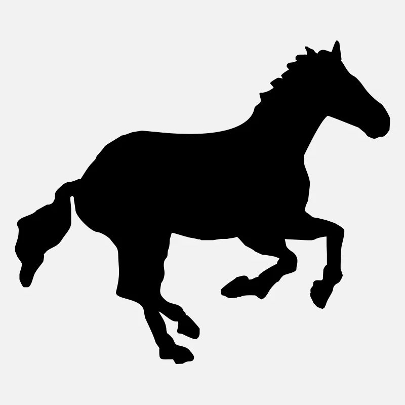 wild horse