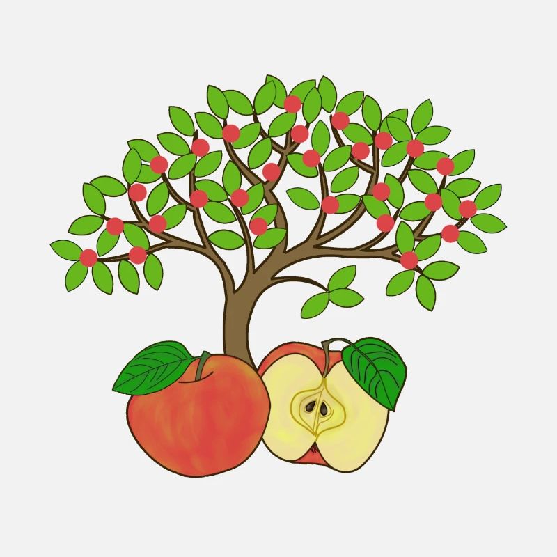 Apfelbaum, Apfel