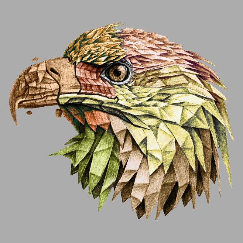 eagle eagle
